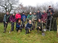 Crowdfunder launched to plant 34,000 trees on Dartmoor