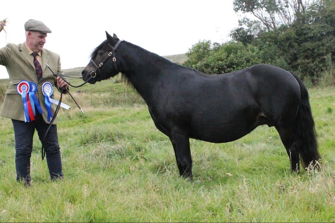 Andrew Belcher with his Reserve Supreme Champion Hisley Canoodle