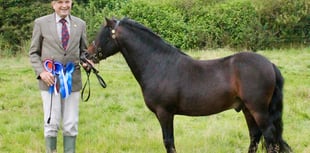 Woofs and neighs at friendly moorland show 