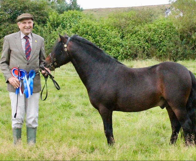 Woofs and neighs at friendly moorland show 