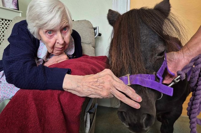 Ruby bonding with a Collytown therapy pony at Springfields Nursing Home in Bridestowe.