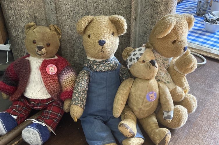 Some of the teddies which completed the abseil