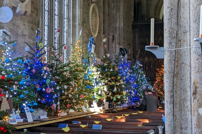 Tavistock Christmas Tree Festival