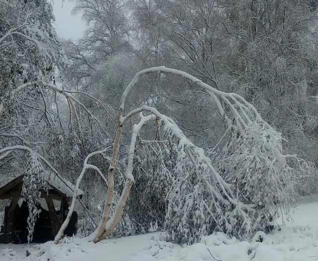 'Heartbreaking' damage to charity garden after storm