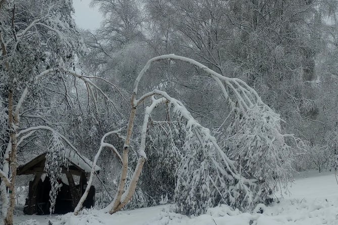 Storm damage at Stone Lane Gardens