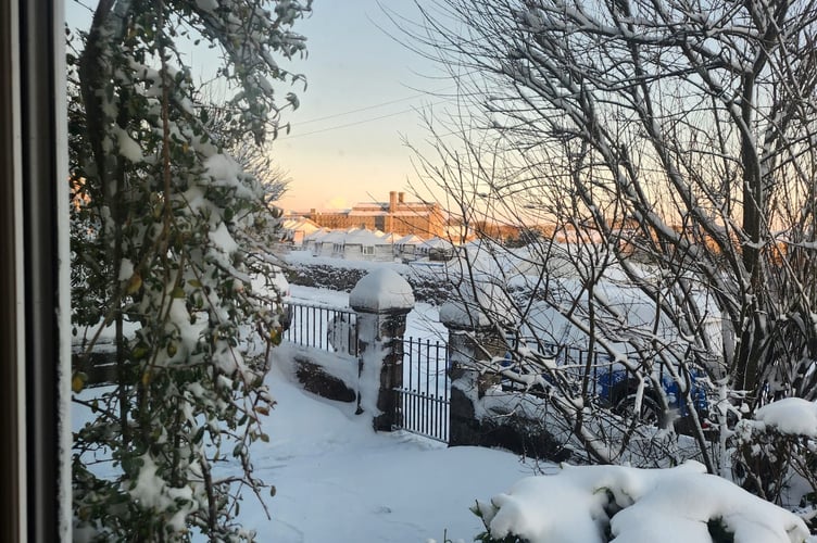 Snowy garden in Princetown on Thursday, showing just how thick the snow was. Picture: Hazel Williams.