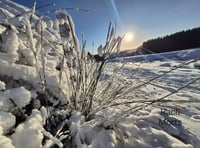 In pictures: snow on Dartmoor