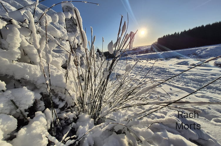 Princetown in the snow, as the sun came out on Thursday following heavy snow on Wednesday. Picture by Rachael Mortimore.