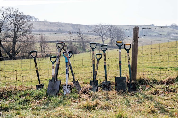 The tree planting at Brook Wood will begin at 10am.